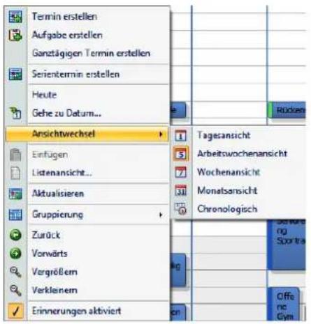 COBRA Adress PLUS 2013 - Mit dem Terminmanager in cobra arbeiten - 2