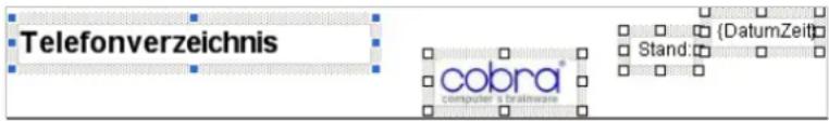 COBRA Adress PLUS 2013 - 2. - 1