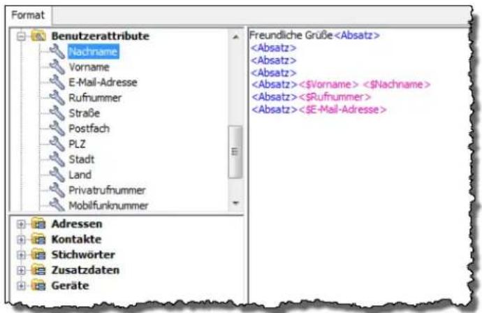 COBRA Adress PLUS 2013 - Benutzerattribute - 2