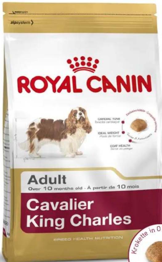 Royal Canin Cavalier King Charles - Cavalier King Charles - 2