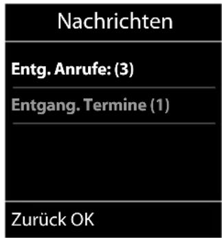 Nachrichten Entg. Anrufe: (3) Entgang. Termine (1) Zurück OK