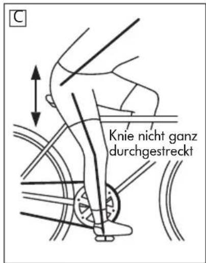 Prophete Navigator 790 - NEIGUNG UND POSITION EINSTELLEN - 1