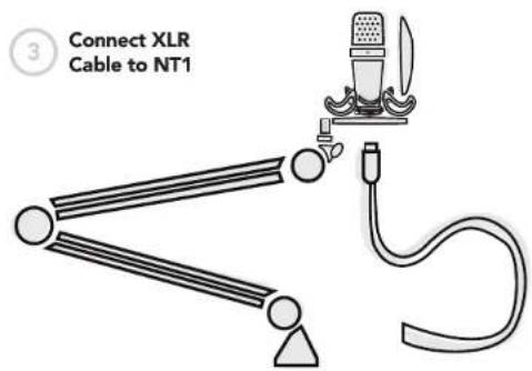 RODE NT1-AI Kit - NT1 & AI 1 Quickstart Guide - 1
