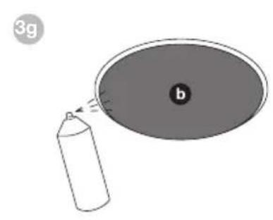3g b