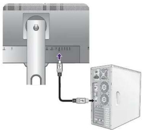 BENQ PD2500Q - Schließen Sie USB-Geräte an. - 1