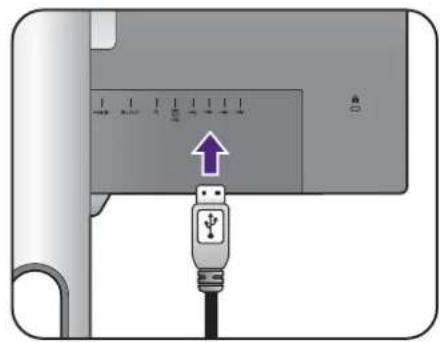 BENQ PD2500Q - Schließen Sie USB-Geräte an. - 2