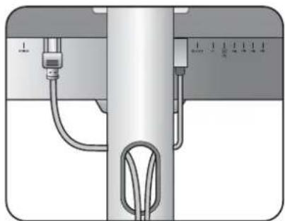 BENQ PD2500Q - Verlegen Sie die Kabel. - 1