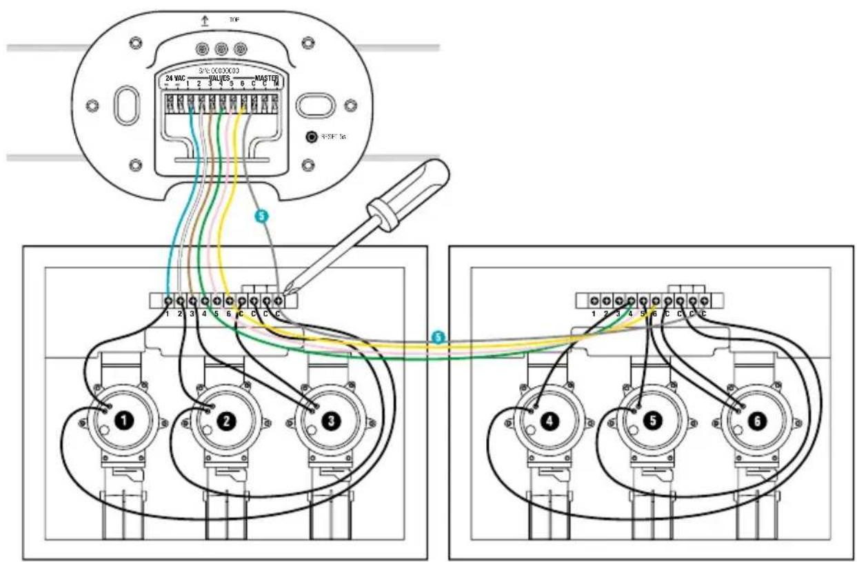 TOP 24 VDC 1 2 3 4 5 6 C C MASTED WSEFM 1 2 3 4 5 6 C C C ① ② ③ ④ ⑤ ⑥