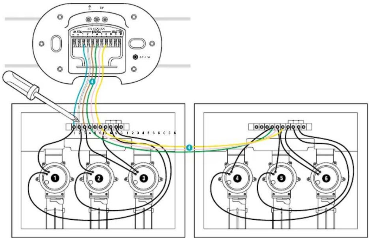 TCP 24 VAC GPN CCKX03XL 1 2 3 4 5 6 C C M MASTER ←+SH-xx 1 2 3 4 5 6 C C C ① ② ③ ④ ⑤ ⑥