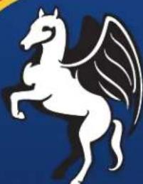 Pegasus City Tycoon - 1