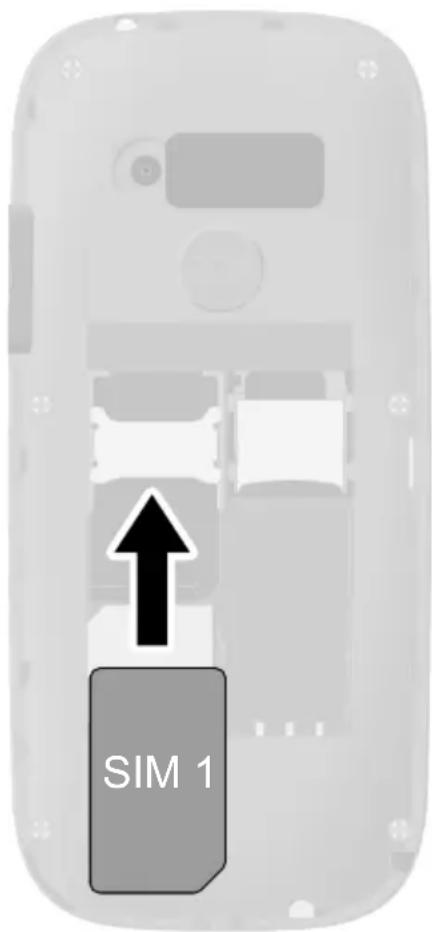 SIM 1