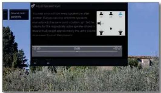 LOEWE Bild 4 - Sound playback via ... - Speaker system (DIGITAL AUDIO LINK) - 21