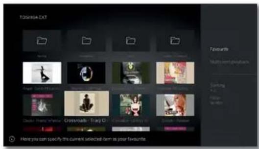 LOEWE Bild 4 - Explanation of the source menu options - 2