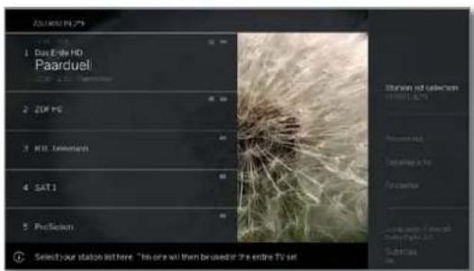 LOEWE Bild 4 - Changing the channel list - 3