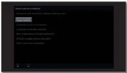 LOEWE Bild 4 - Setting options for DVB-S reception: - 7
