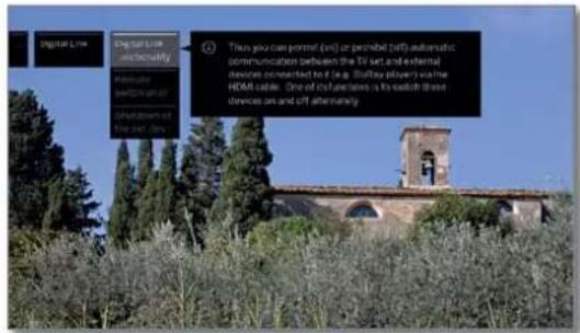 LOEWE Bild 4 - Call Digital Recorder Link menu - 3