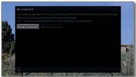 LOEWE Bild 4 - OK Start automatic search. - 3