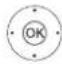 LOEWE Bild 4 - Setting options for the satellite system (other communal installation): - 5