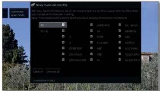 LOEWE Bild 4 - Search for/update channels – handling of new and no longer found channels - 2