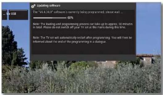 LOEWE Bild 4 - Load new software package - 1