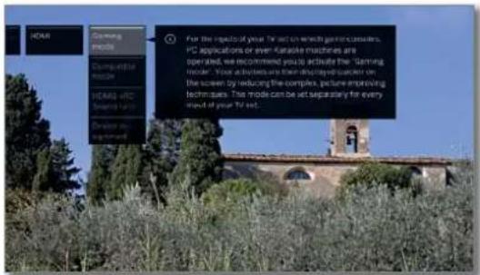LOEWE Bild 4 - Call HDMI menu - 3