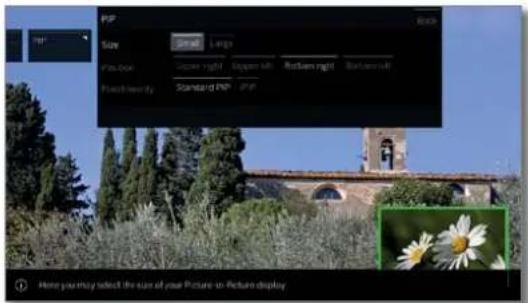 LOEWE Bild 4 - Adjust size of the PIP image - 3
