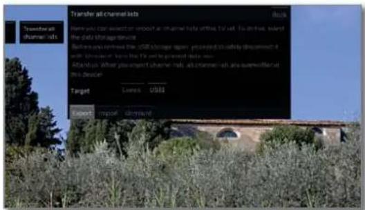 LOEWE Bild 4 - Calling Transfer all channel lists - 3