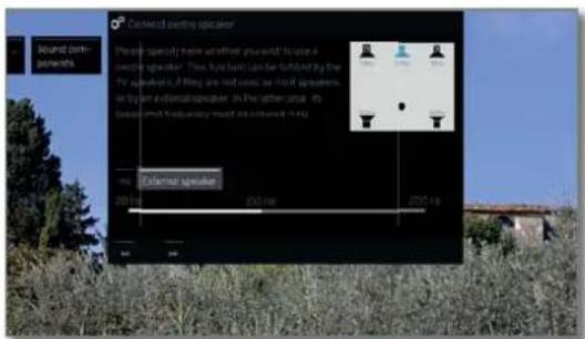 LOEWE Bild 4 - Sound playback via ... - Speaker system (DIGITAL AUDIO LINK) - 12