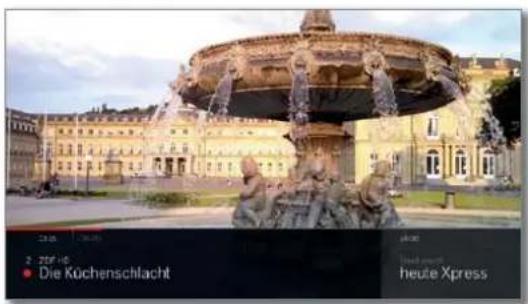 LOEWE Bild 4 - Time shift viewing during archive recording - 4