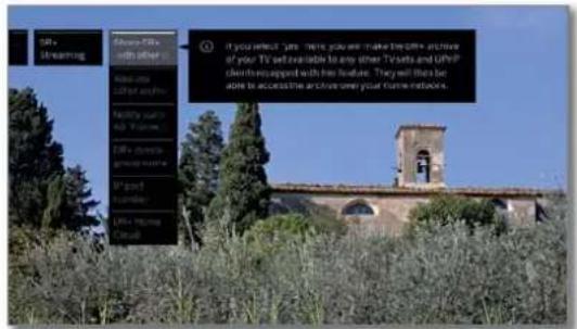 LOEWE Bild 4 - Call DR+ streaming settings - 2