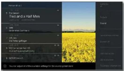 LOEWE Bild 4 - Menu options for the selected channel list: - 3