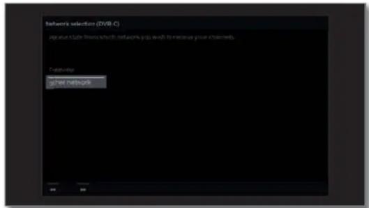 LOEWE Bild 4 - Setting options for DVB-T reception: - 1
