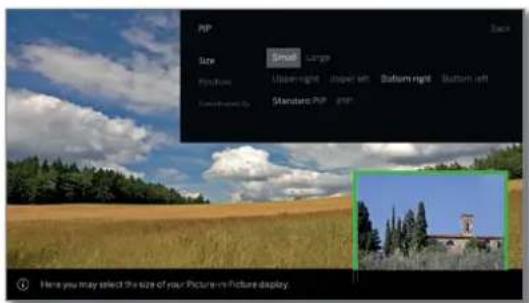 LOEWE Bild 4 - PIP Settings - 3