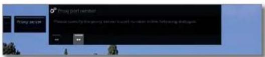 LOEWE Bild 4 - Proxy server - 8