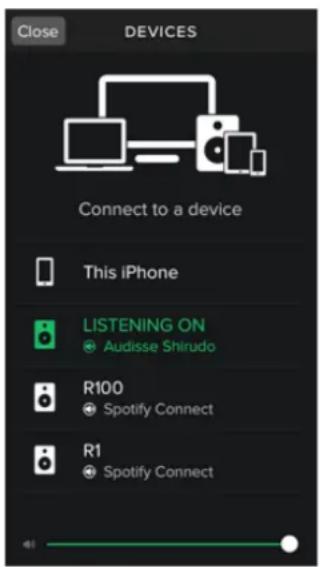 Audisse Shokunin - Network settings - 2
