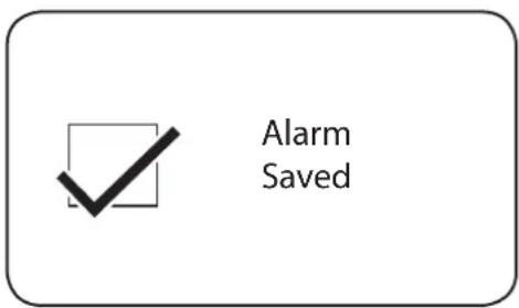 Audisse Shokunin - DISABLING ALARMS - 2