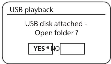 Audisse Shokunin - PLAYING FILES FROM USB MEMORY DEVICES - 2