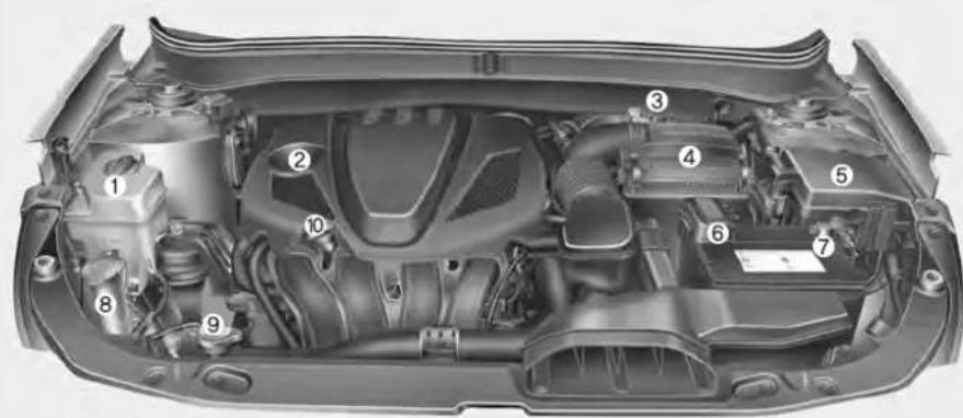 Technical diagram of a car engine bay with numbered components for identification