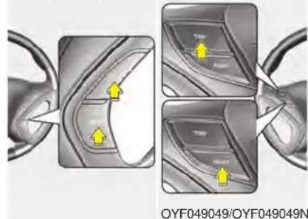 OYF049049/OYF049049N