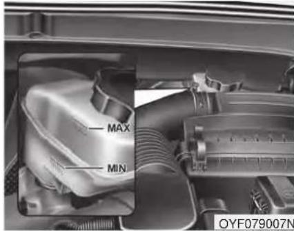 MAX MIN OYF079007N