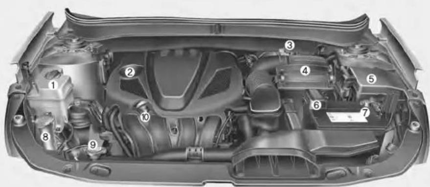 Technical diagram of a car engine bay with numbered components for identification