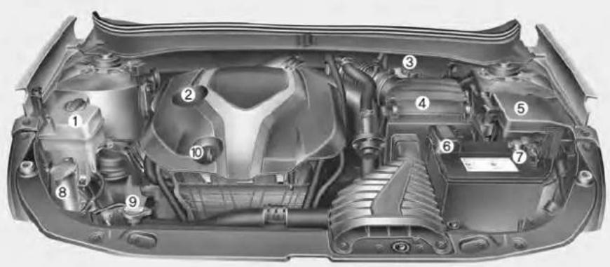 Technical diagram of a car engine bay with numbered components for identification