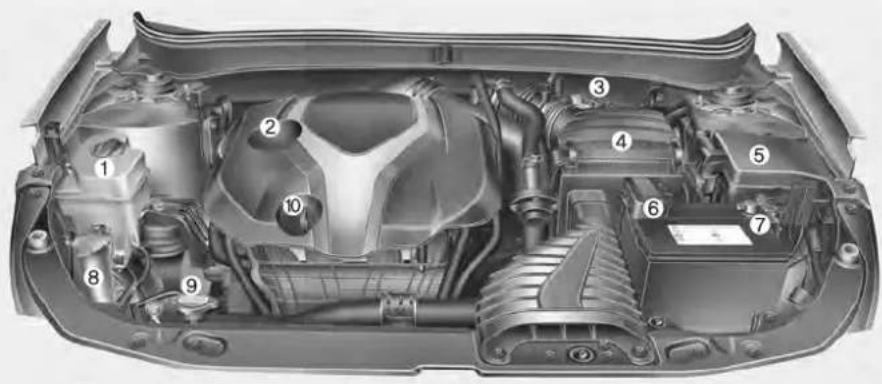 Technical diagram of a car engine bay with numbered components for identification