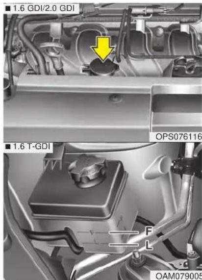 KIA Soul (2019) - CAUTION - Radiator Cap - 1