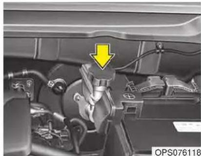 KIA Soul (2019) - Checking the brake/clutch\* fluid level - 1