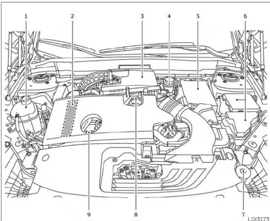 INFINITI QX50 (2019) - ENGINE COMPARTMENT CHECK LOCATIONS - 1