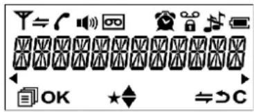 Hagenuk Casa 215 - Beschreibung der Displaysymbole - 1