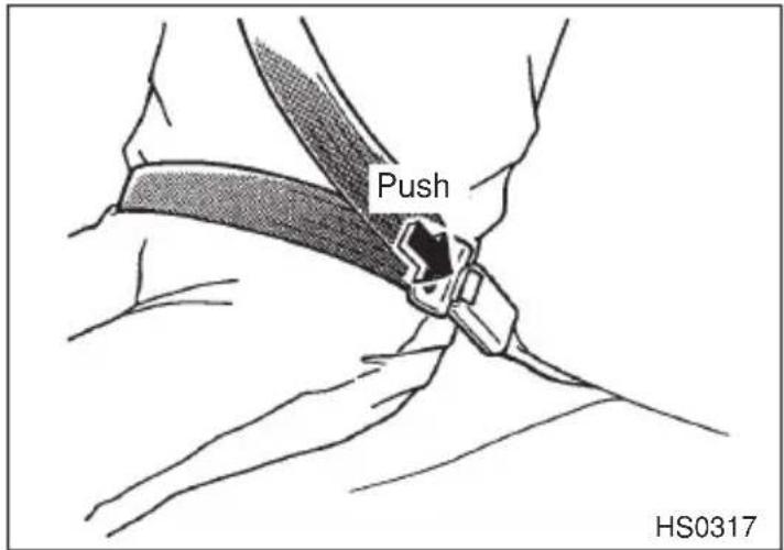 Push HS0317