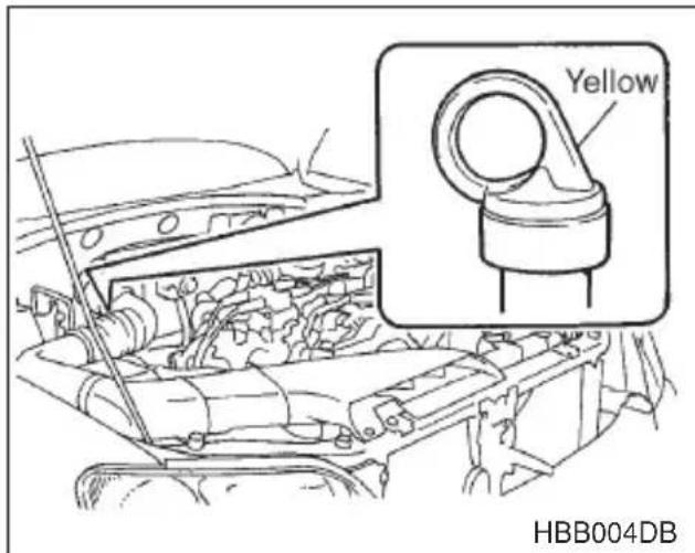Yellow HBB004DB