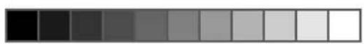 MIO STAR M 12 Stitch - Greiferbahn und Transporteur - 2
